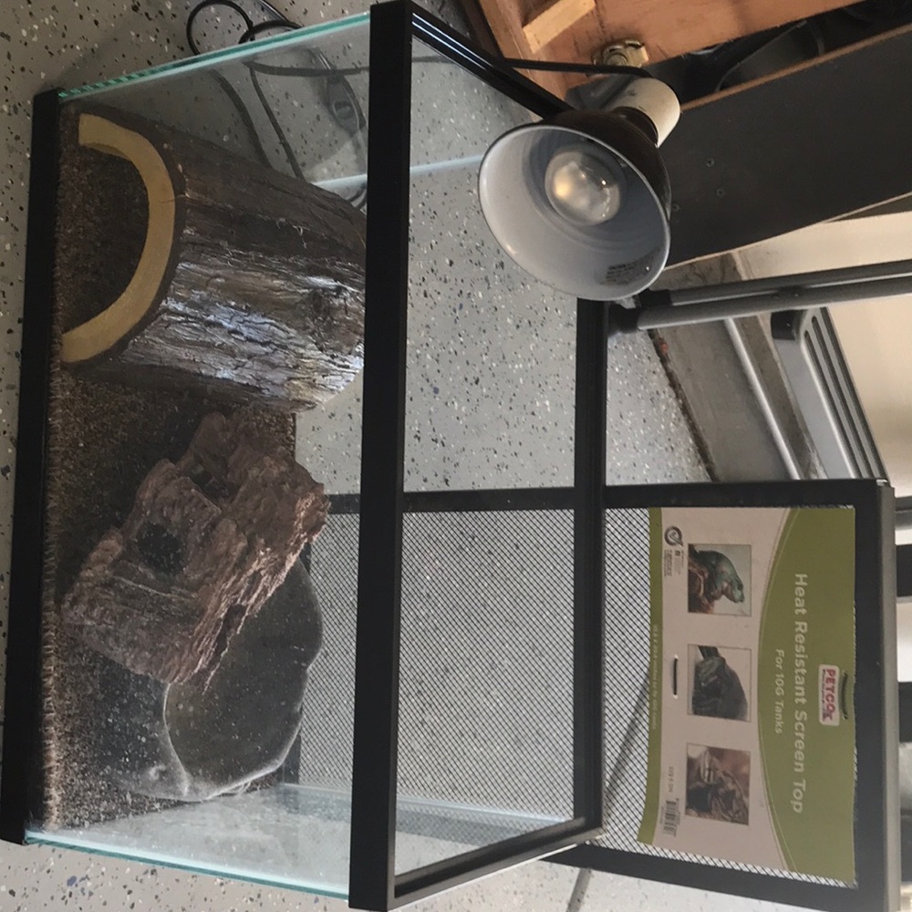 Reptile aquarium